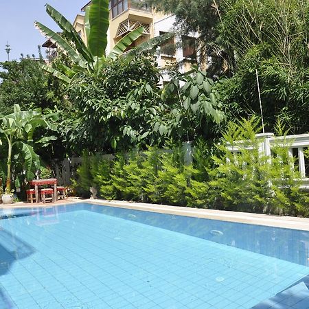 Hotel Villa Casablanca Bahtili エクステリア 写真