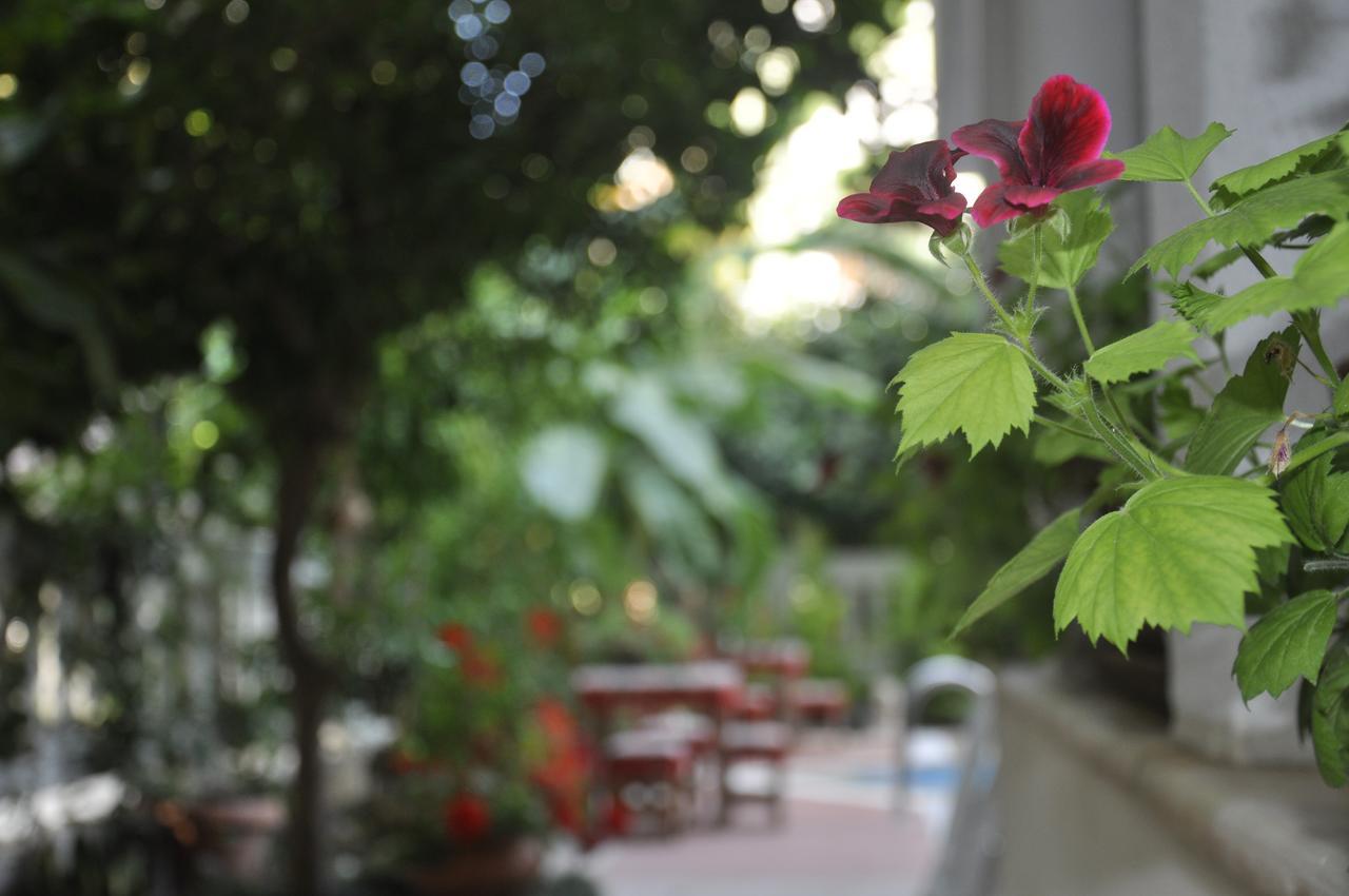 Hotel Villa Casablanca Bahtili エクステリア 写真