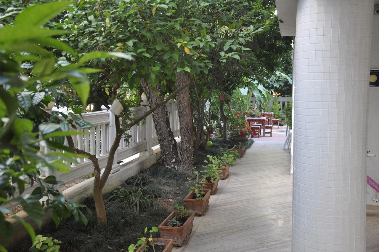 Hotel Villa Casablanca Bahtili エクステリア 写真